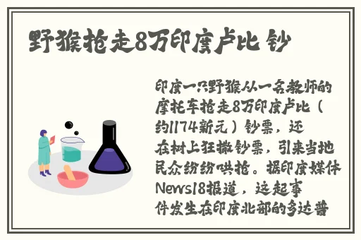 4399影视网